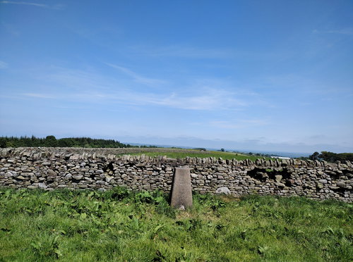 Mayland Lea Farm Trig Point