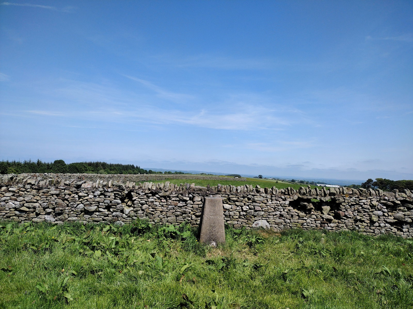 Mayland Lea Farm Trig Point