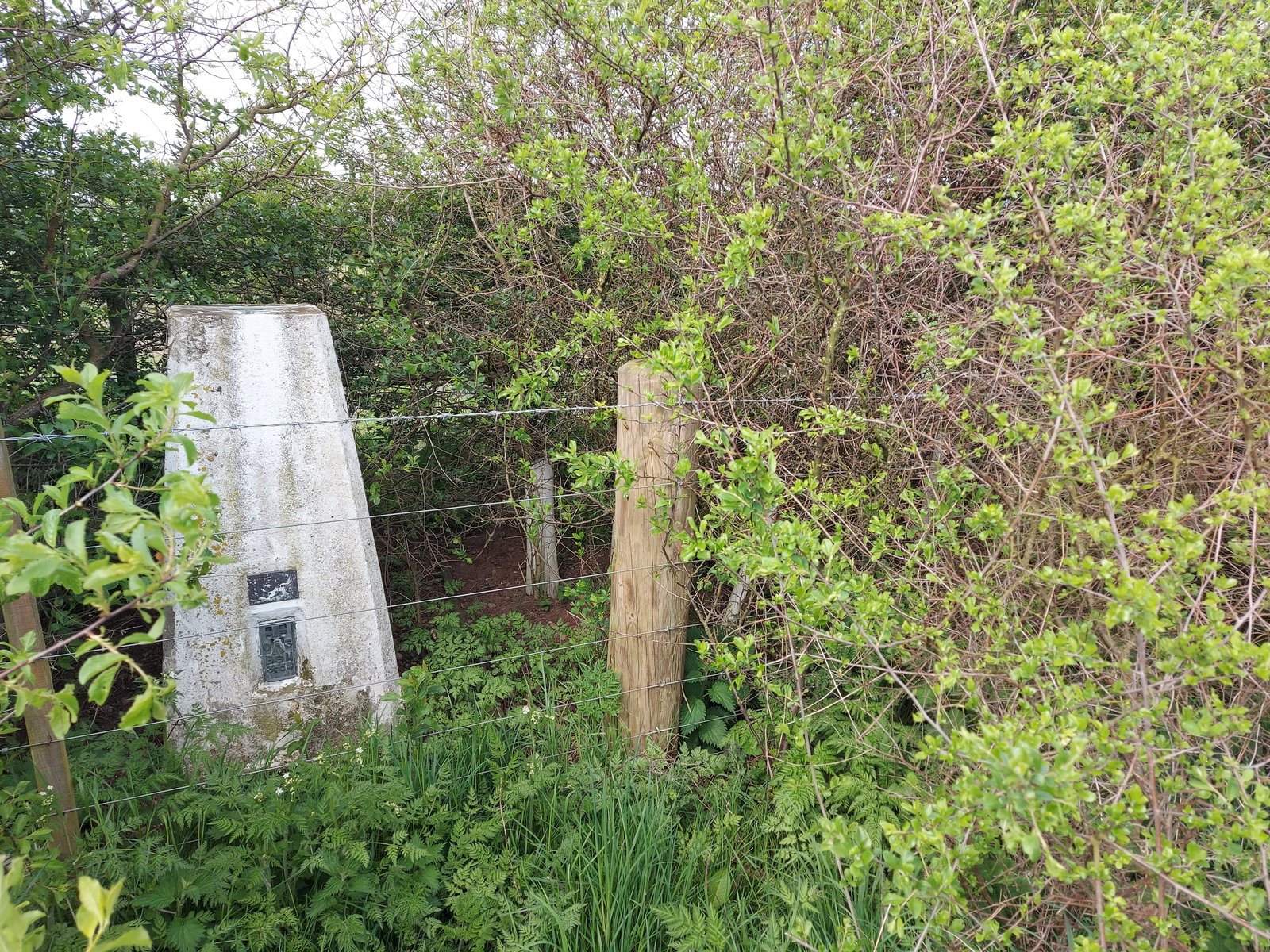 Menceles Trig Point