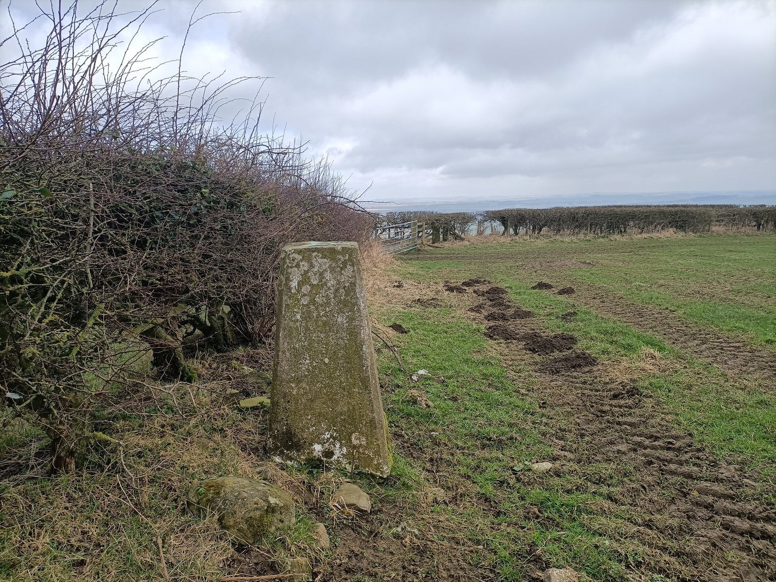 Mickley Trig Point