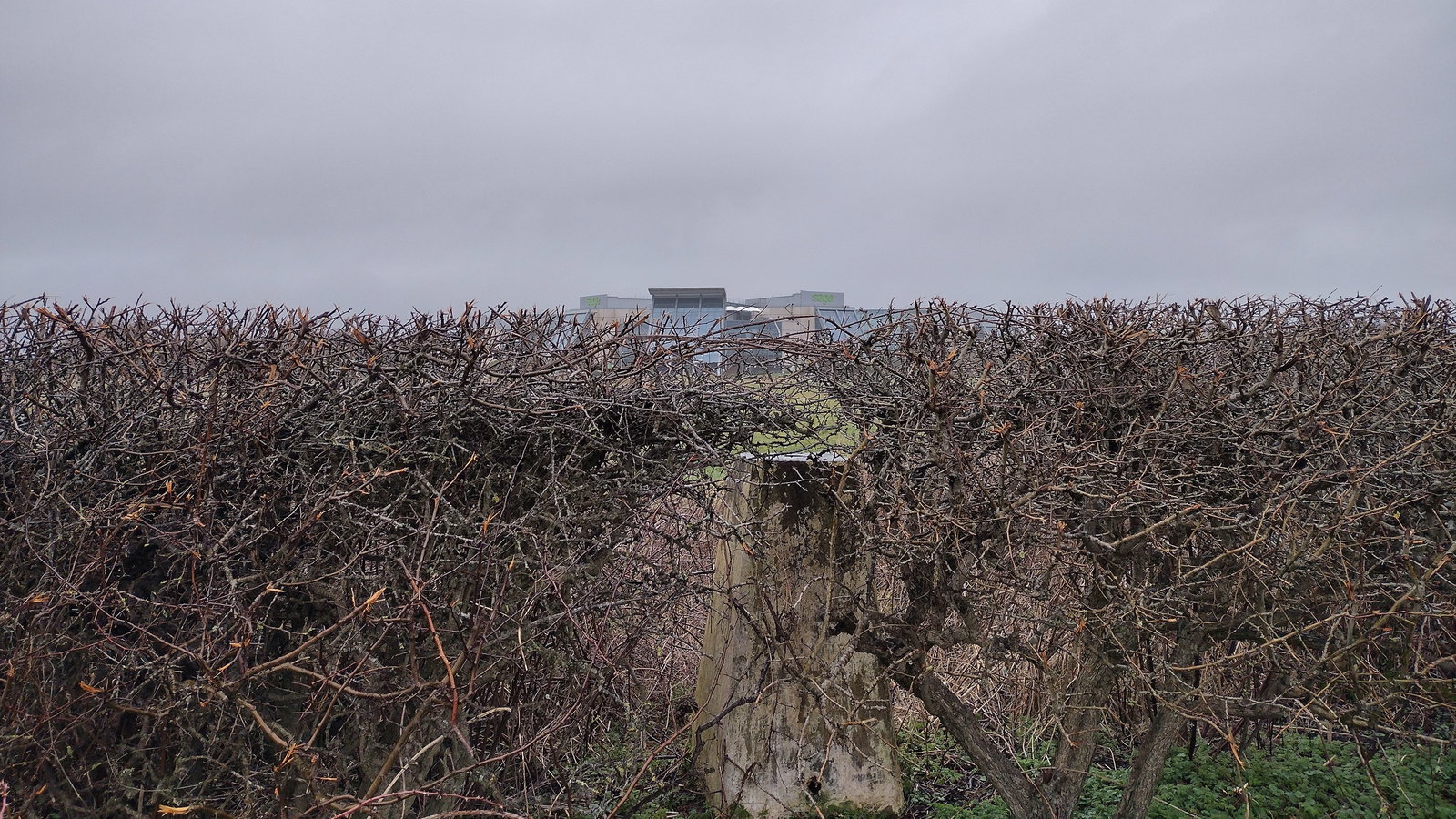 Middle Brunton West Farm Trig Point