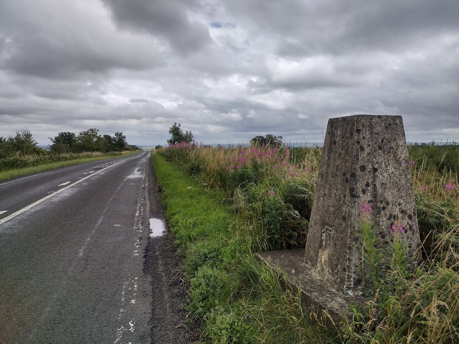 Military Road Trig Point