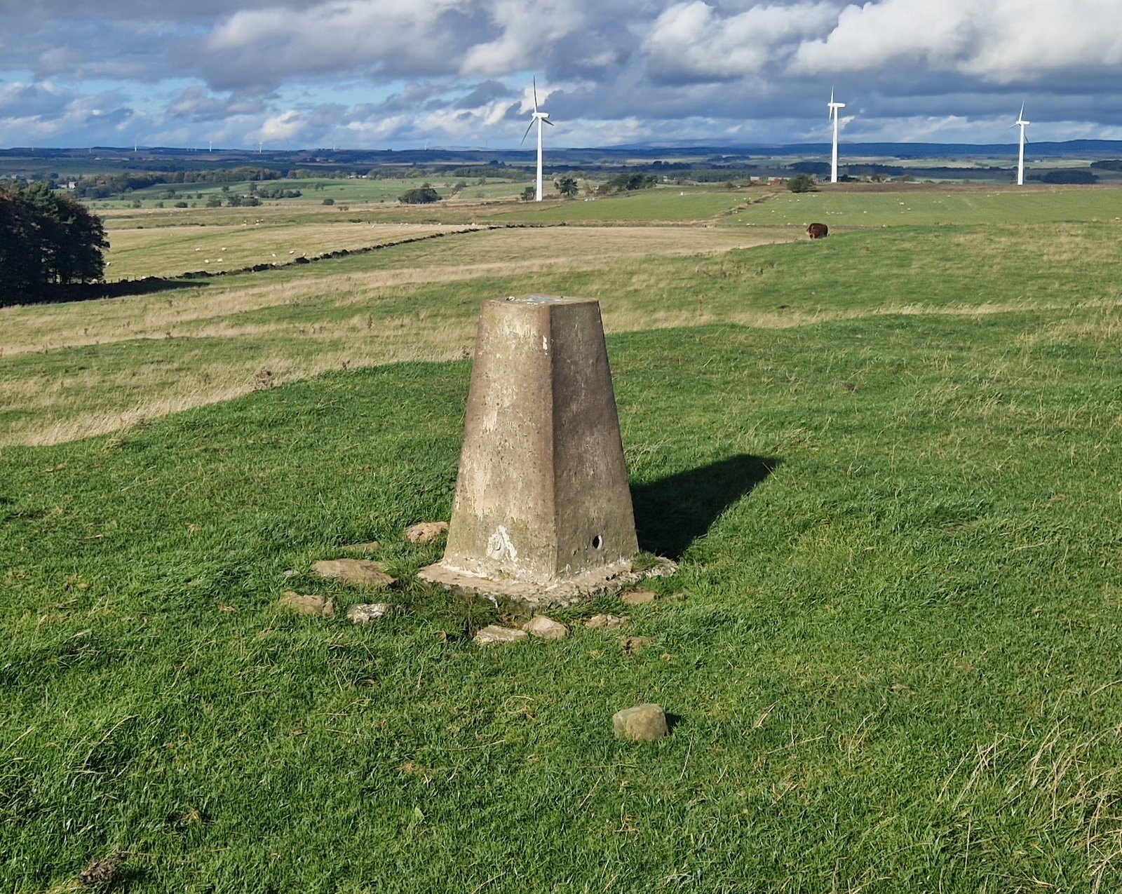 Moot Law Trig Point