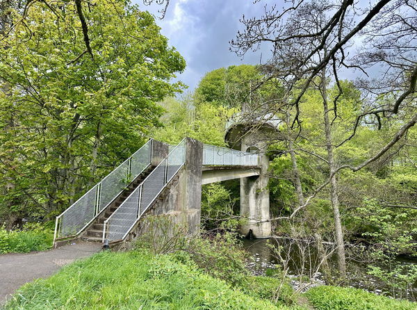 Mushroom Bridge