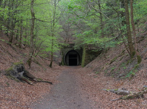 Neidpath Tunnel