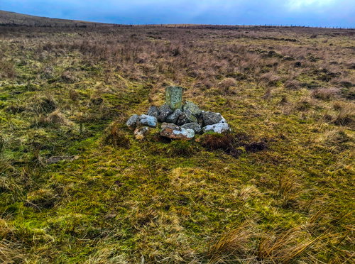 Nellie Heron's Memorial Stone