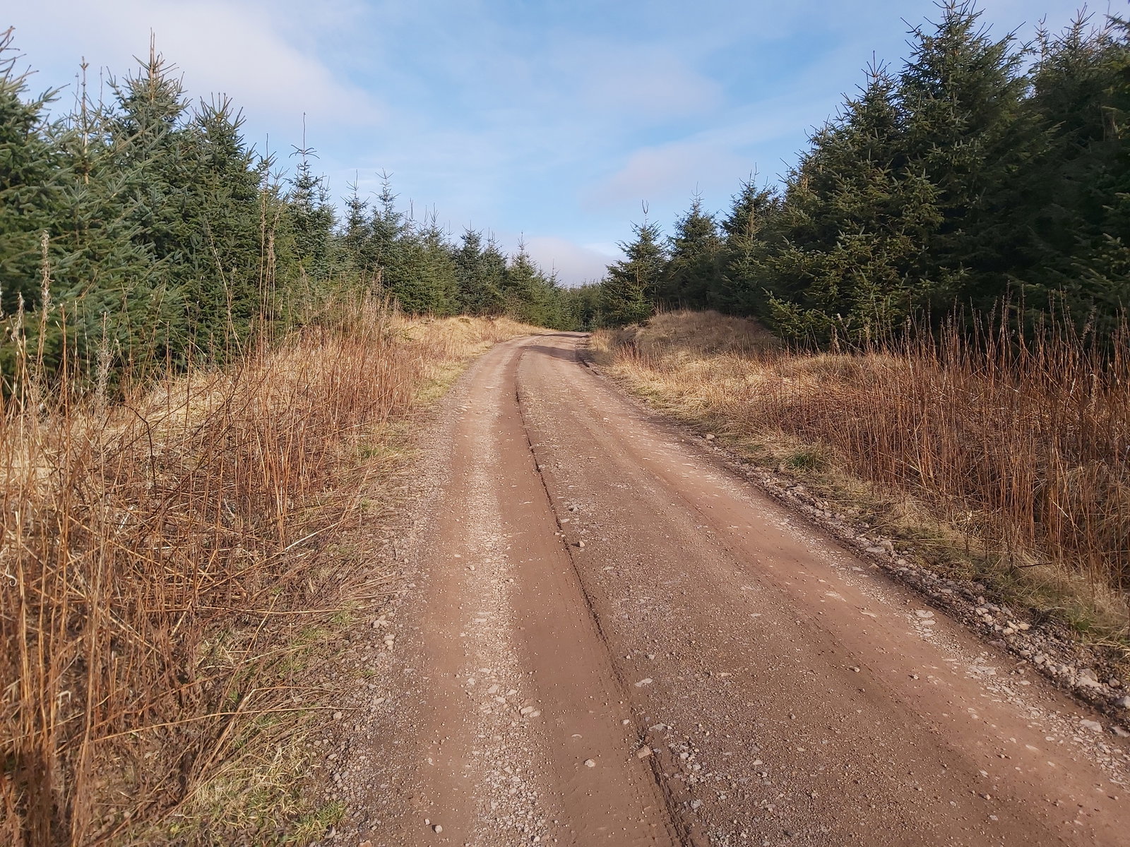 Nettlehope Hill