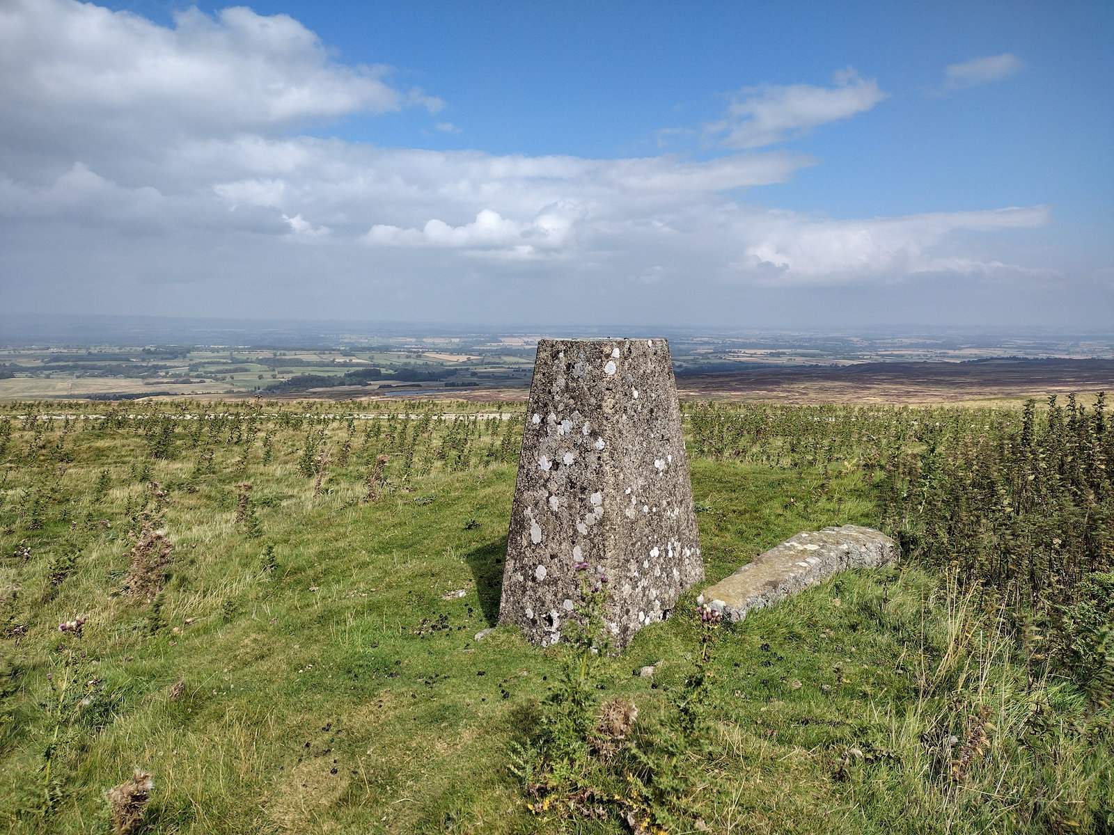Newsham Moor Trig Point
