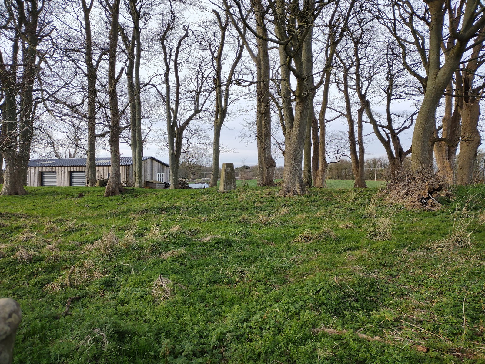 Pasture Hill Plantation Trig Point