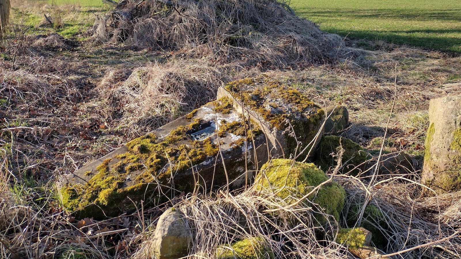 Pigdon Trig Point