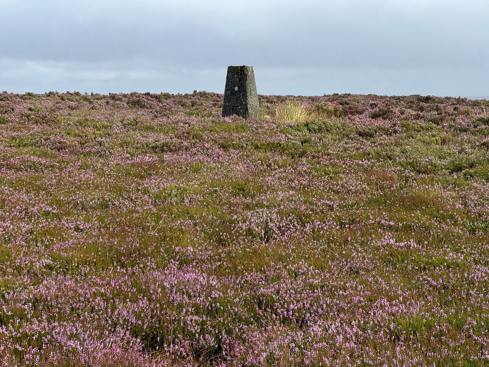 Raven Hills Trig Point