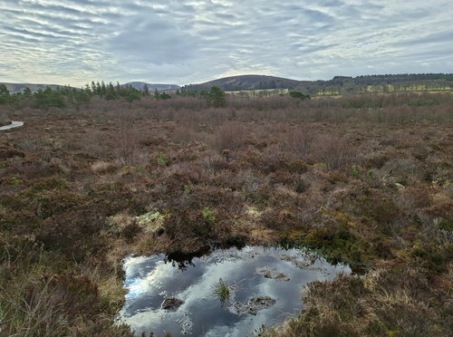 Red Moss Nature Reserve
