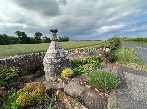 Rood Well