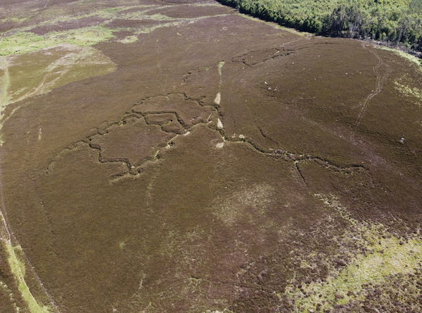 Rothbury Trenches