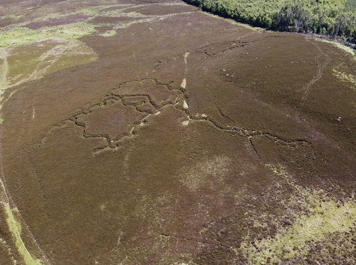 Rothbury Trenches