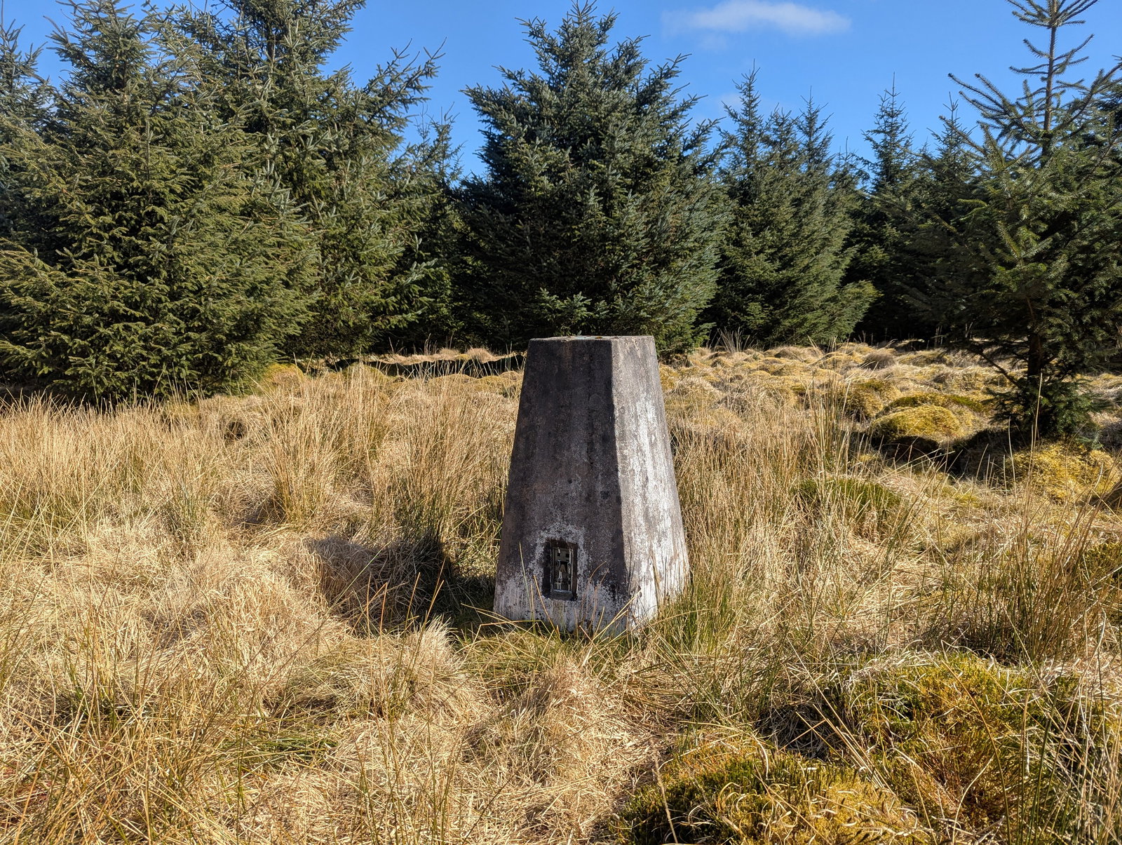 Round Top Trig Point