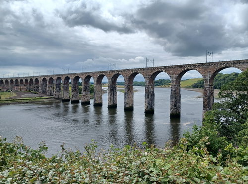 Royal Border Bridge