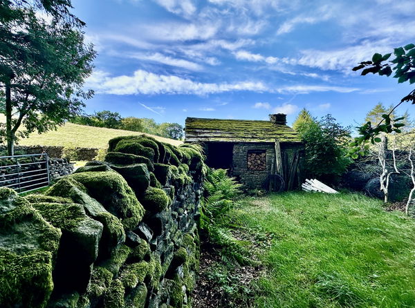 Saddle House