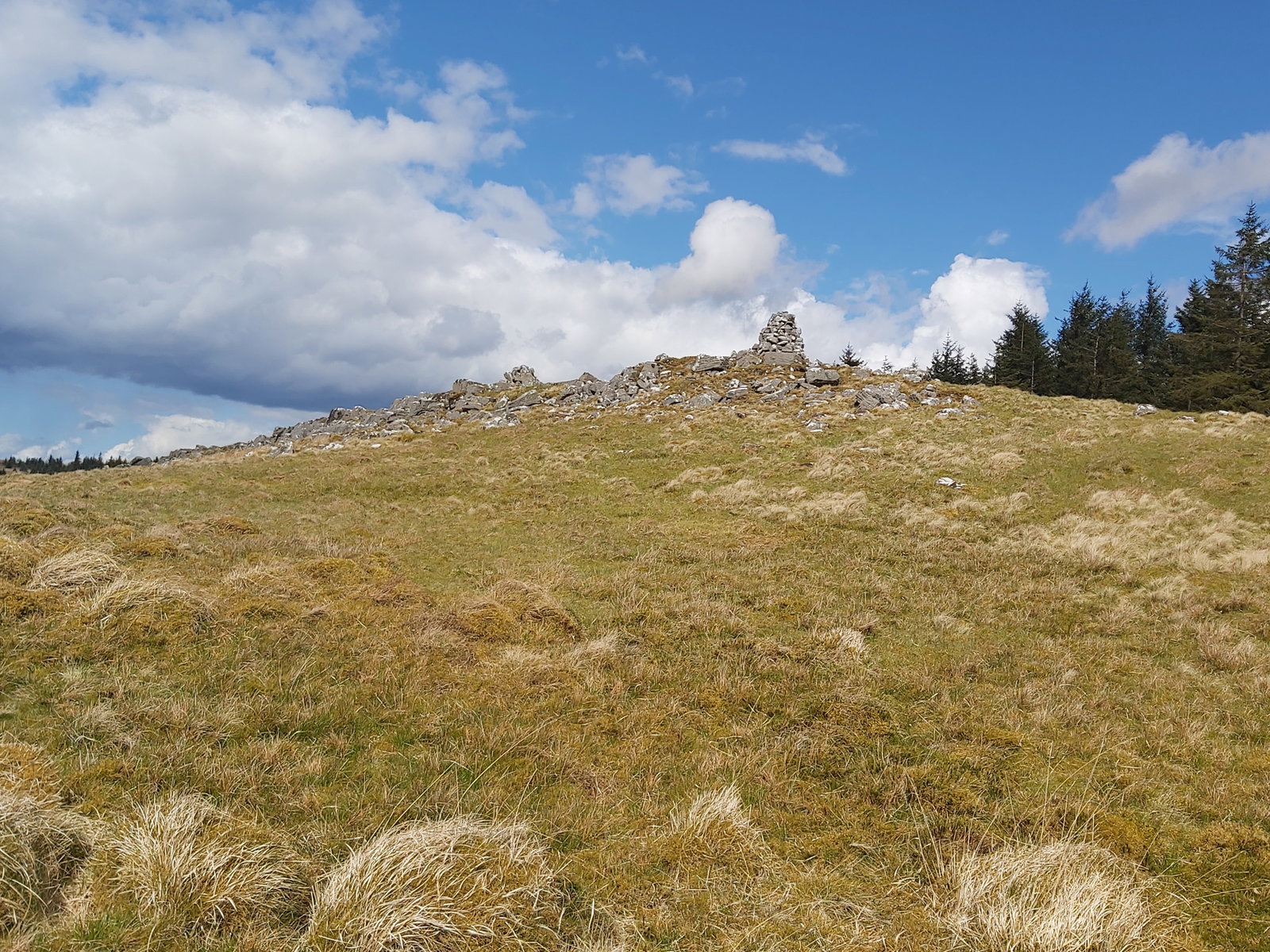 Sandy Pike