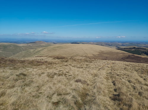 Saughieside Hill