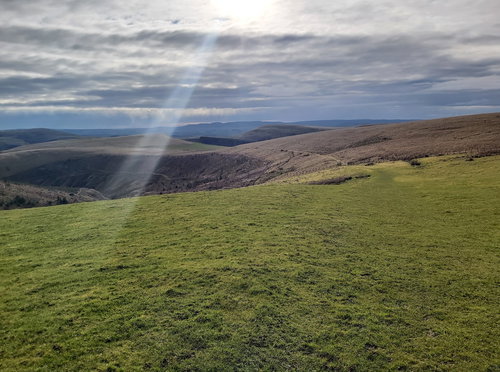 Saughy Hill