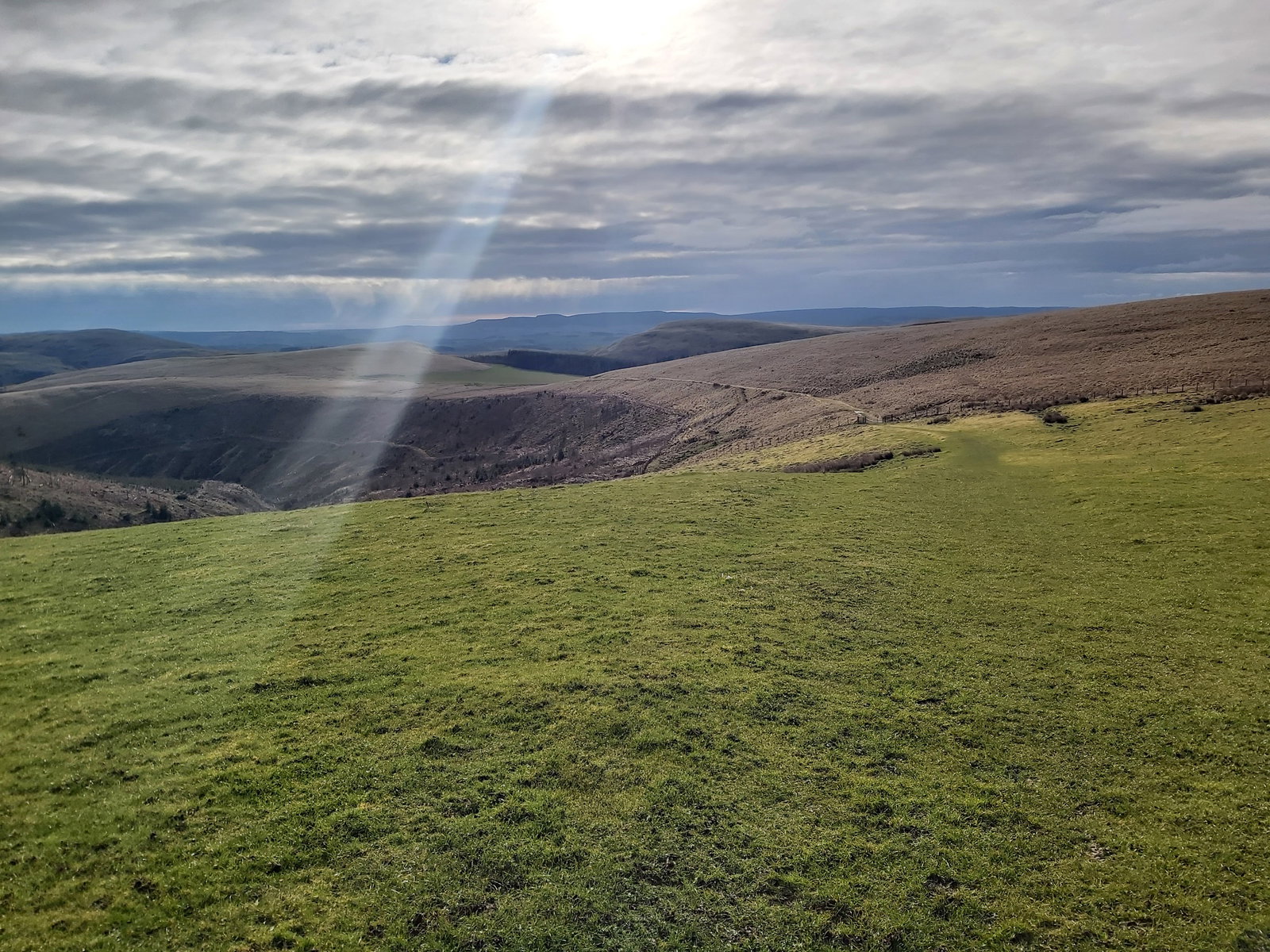 Saughy Hill