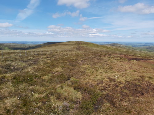 Scald Hill