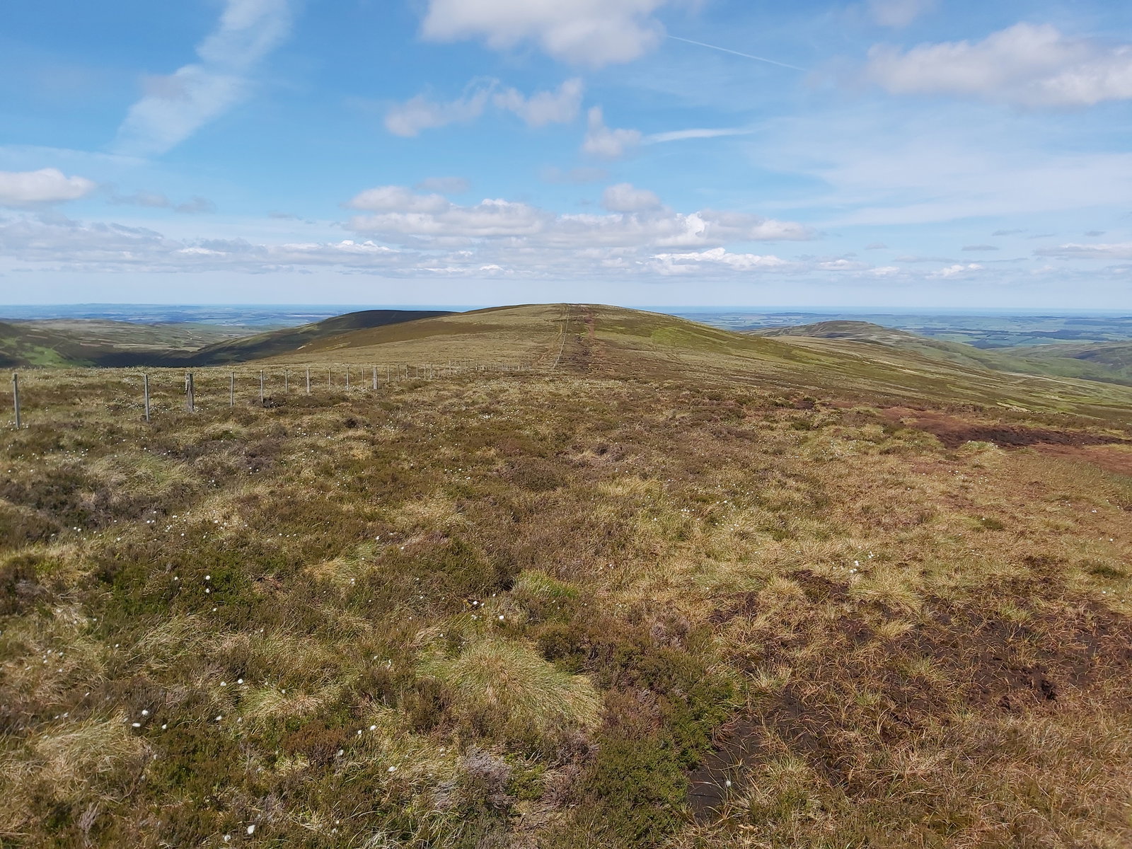 Scald Hill