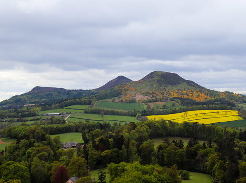Scott's View