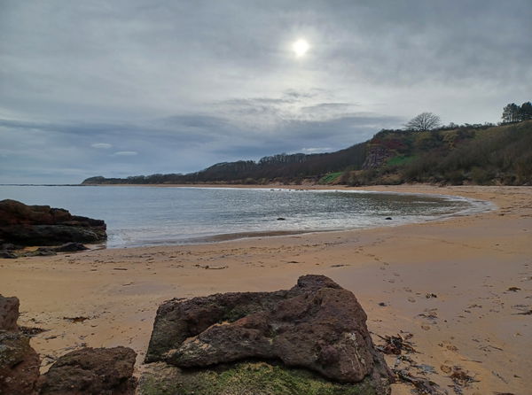 Seacliff Beach and Harbour