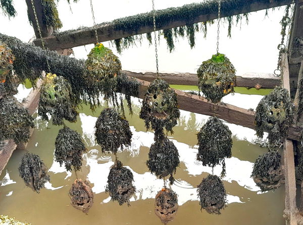 Shelter Shells