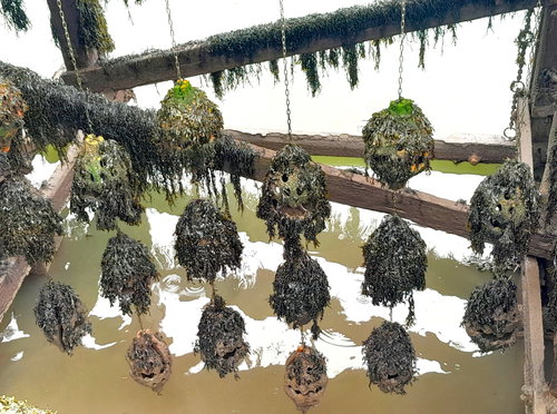 Shelter Shells