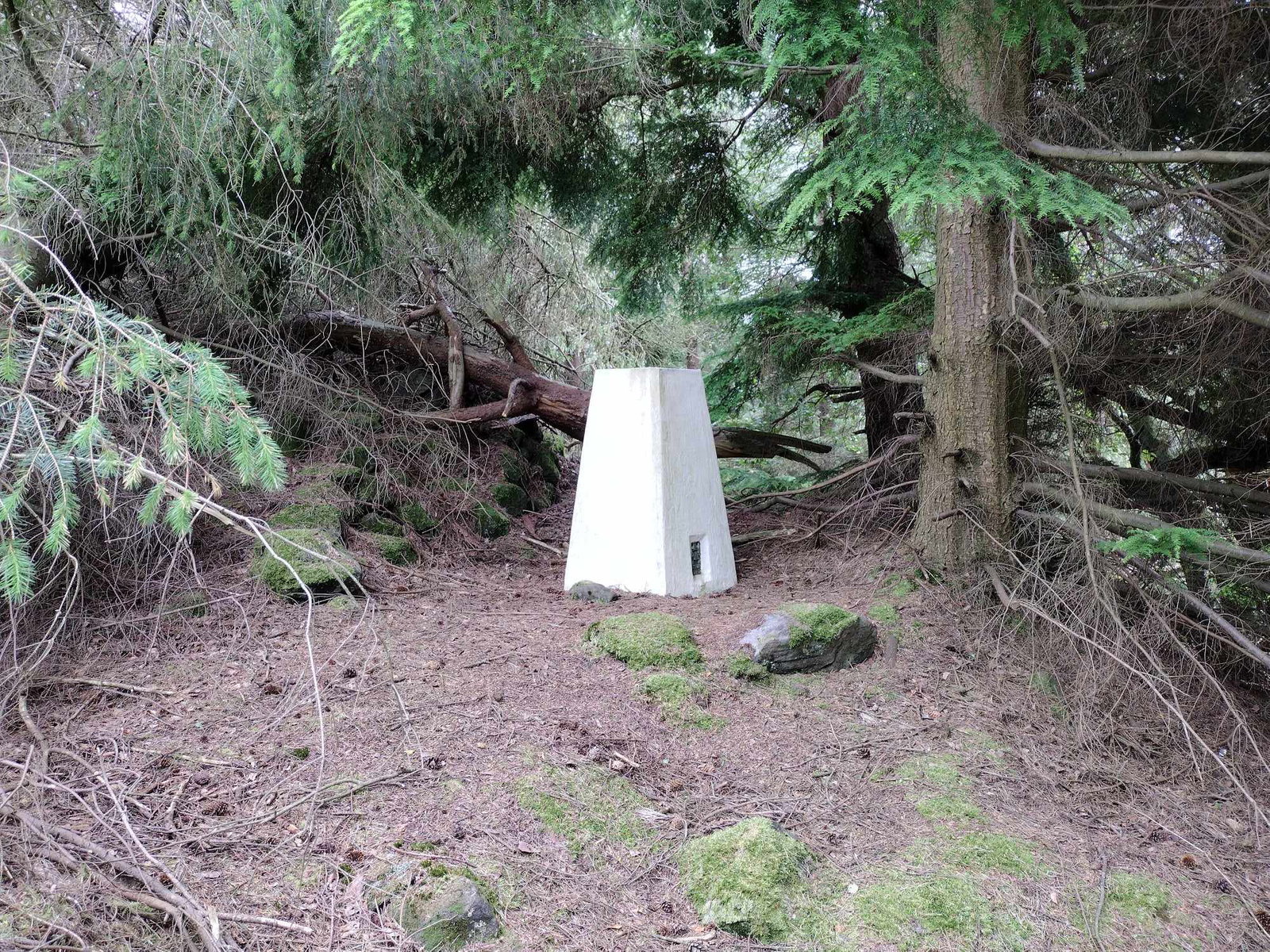 Shepherdskirk Hill Trig Point