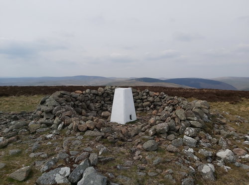 Shillhope Law Trig Point