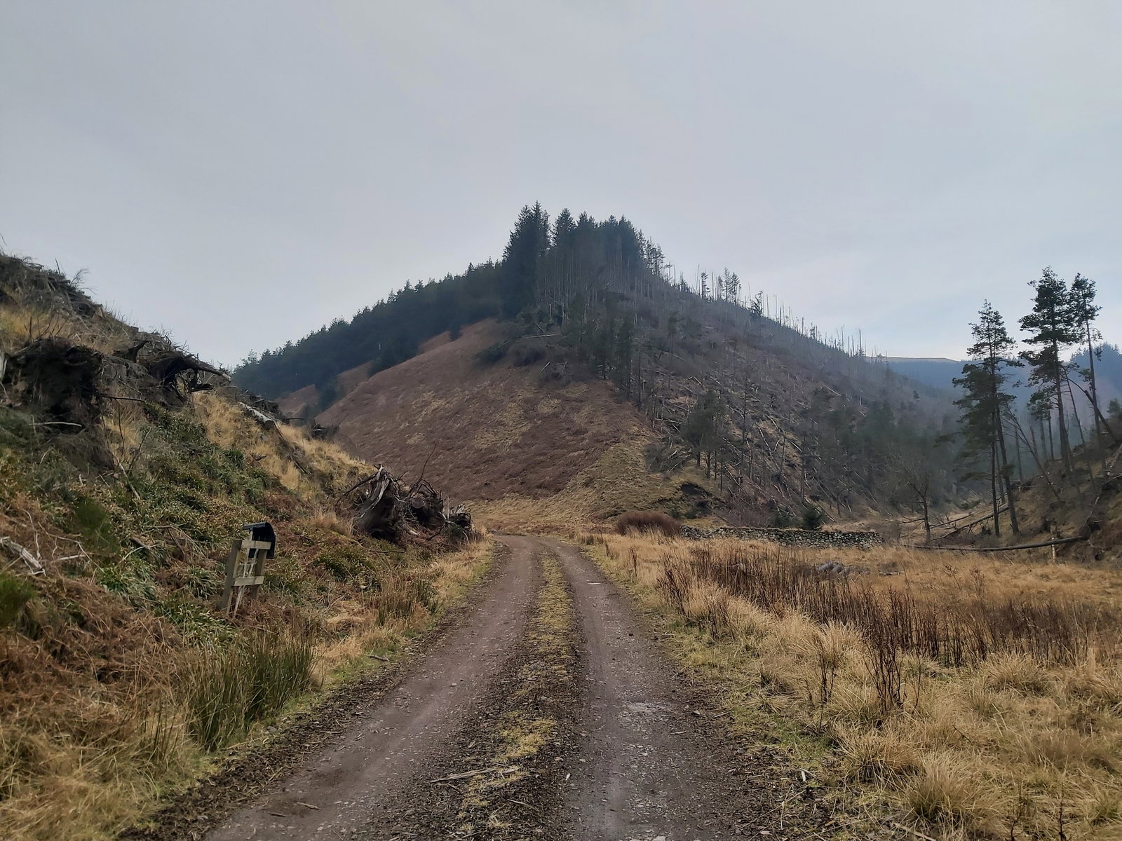 Sneer Hill