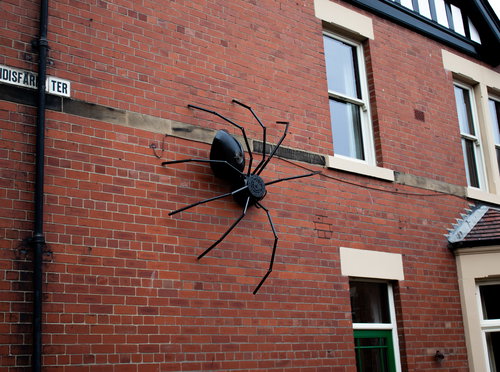 Spider Artwork