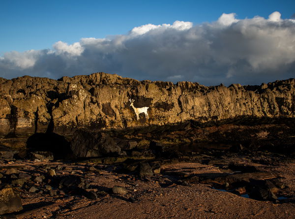Stag Rock