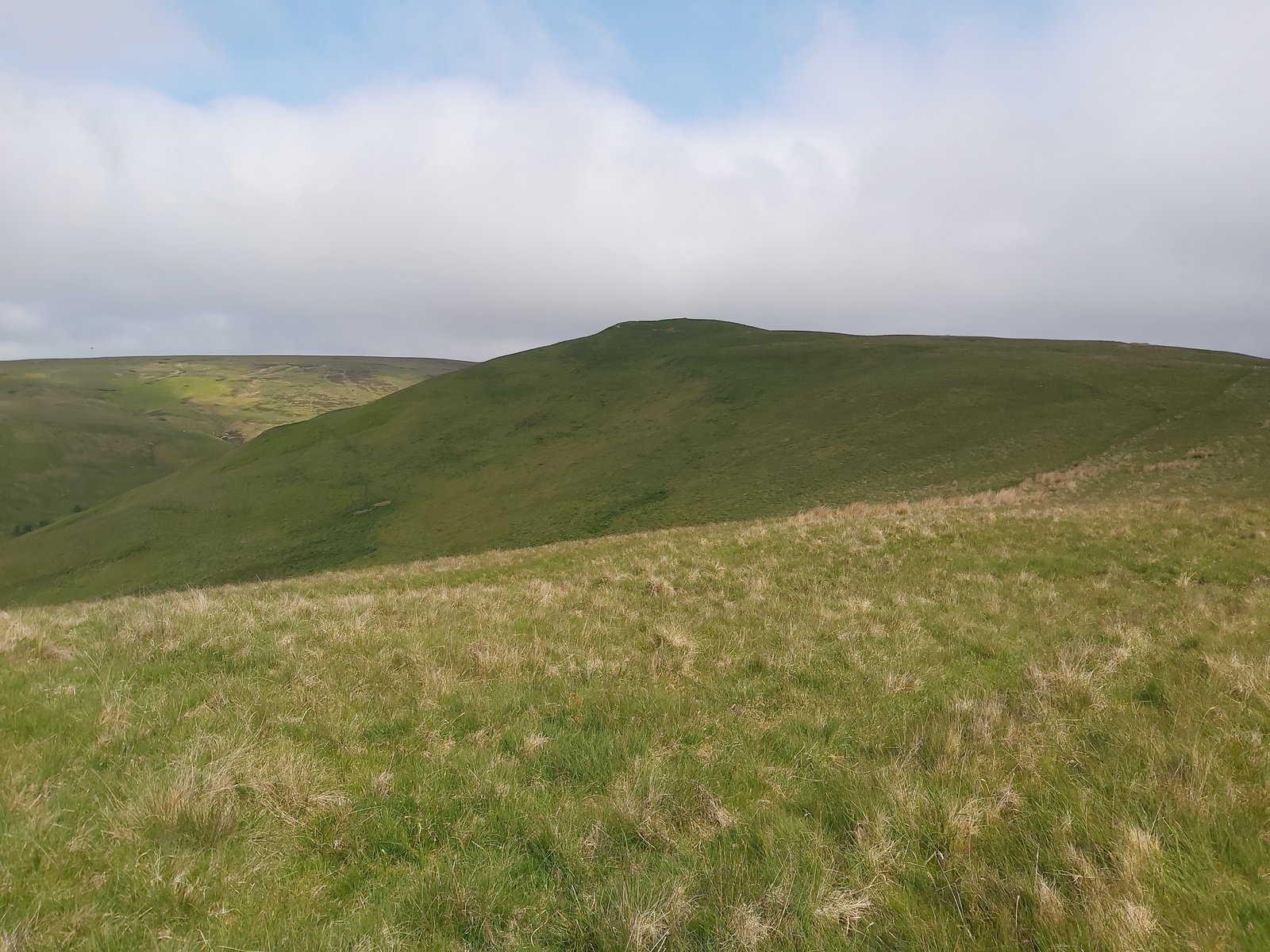 Swineside Law