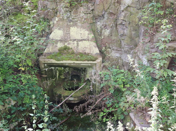 Sybil's Well