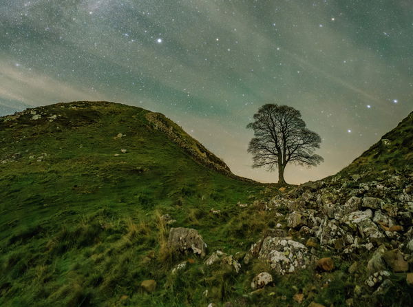 Sycamore Gap