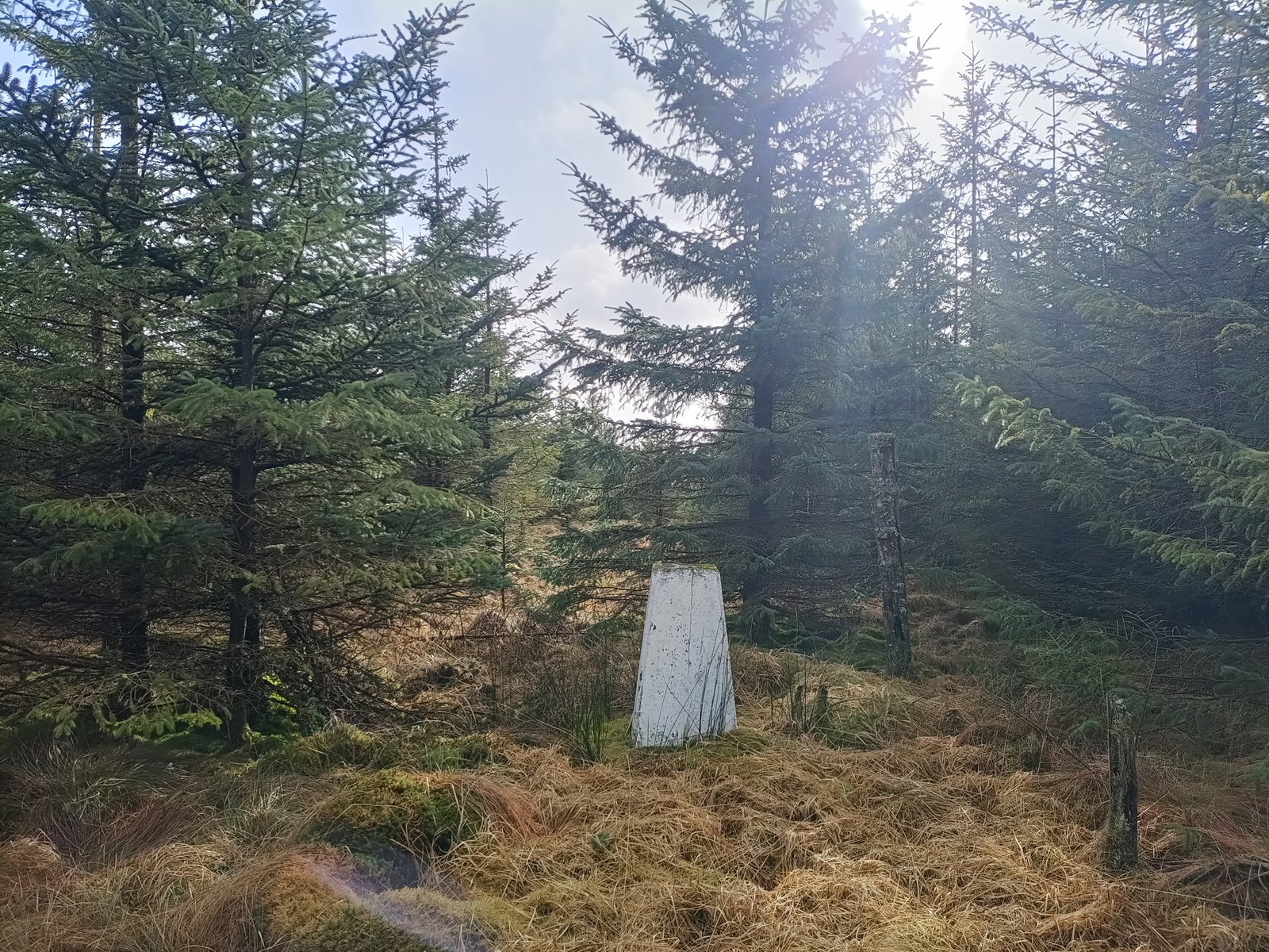 The Dodd Trig Point