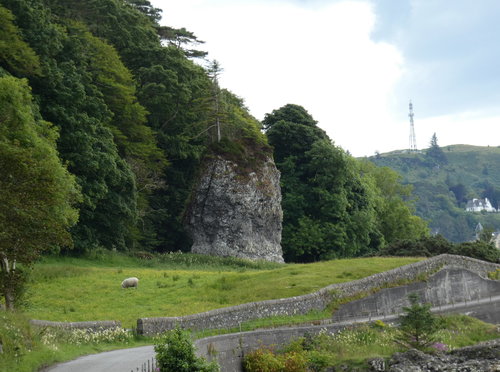 The Dog Stone