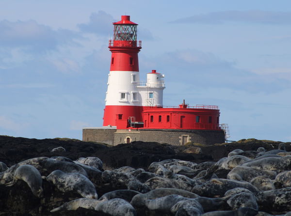 The Farne Islands