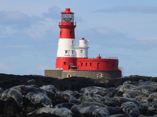 The Farne Islands