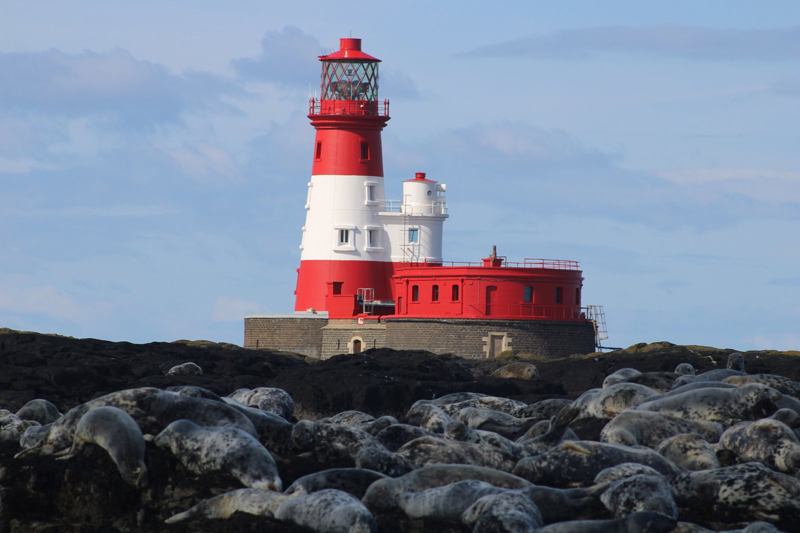 The Farne Islands