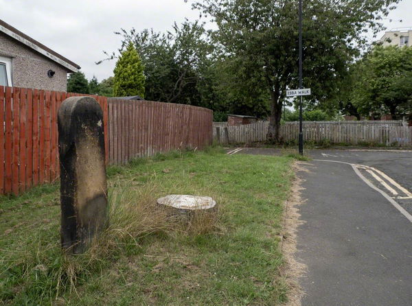 Main Dyke Stone