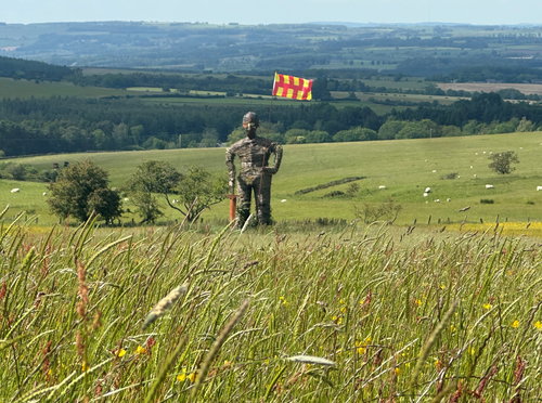 Whittonstall Wicker Man