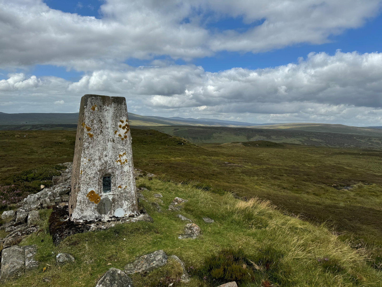 Thistle Green Trig Point