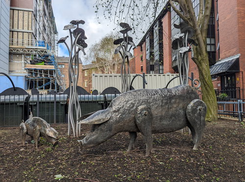 Thornton Court Pig and Mushrooms