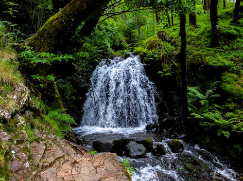 Tom Gill Waterfall